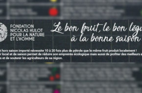 calendrier des fruits et légumes locaux